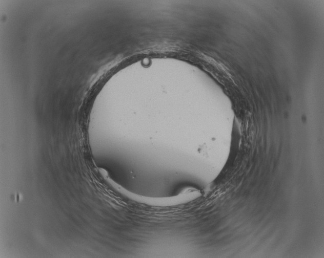 X0000067471160200605051640