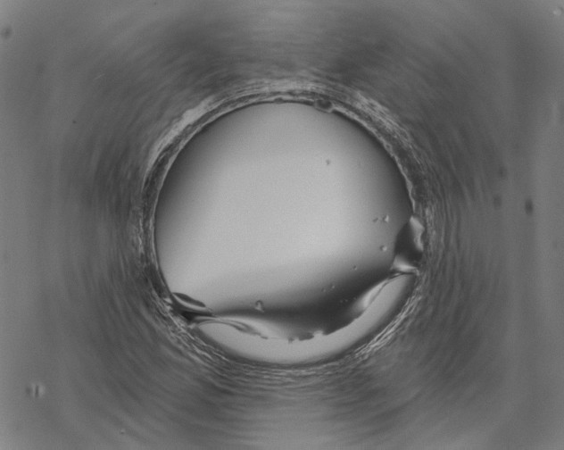 X0000067471165200605051640