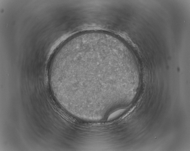 X0000067471167200605051640