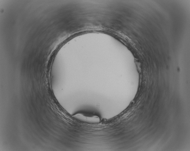 X0000067471168200605051640