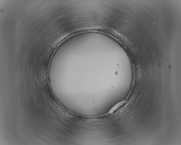 X0000067471169200605051639