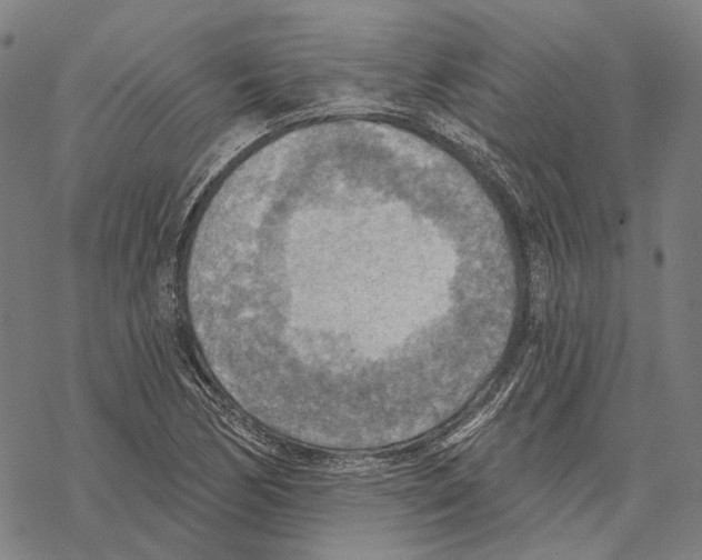 X0000067471170200605051639