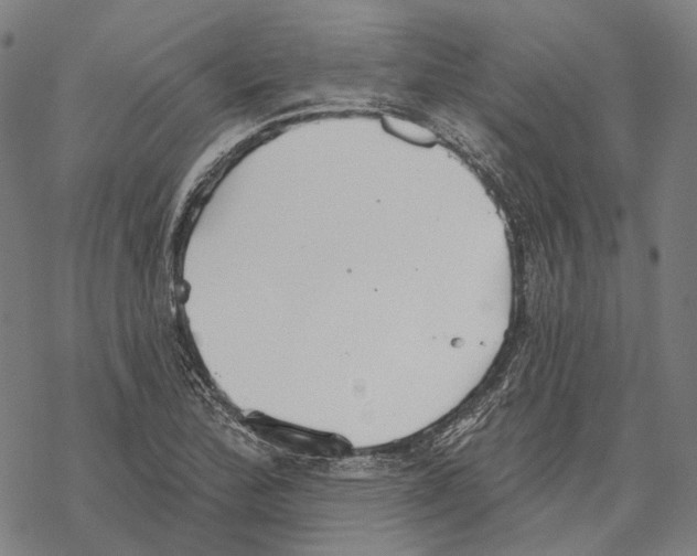 X0000067471172200605051639