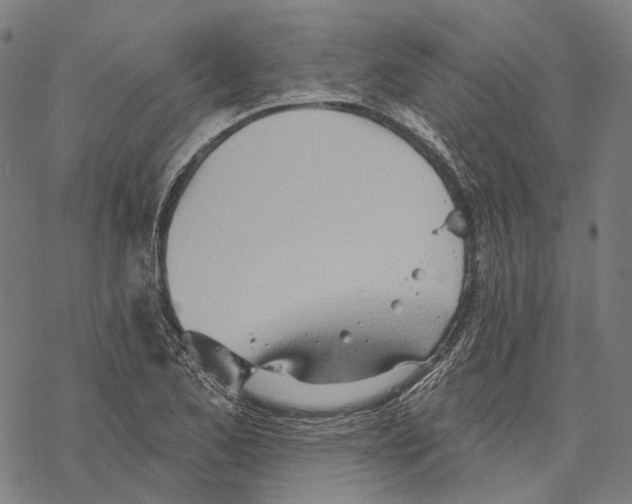 X0000067471173200605051639