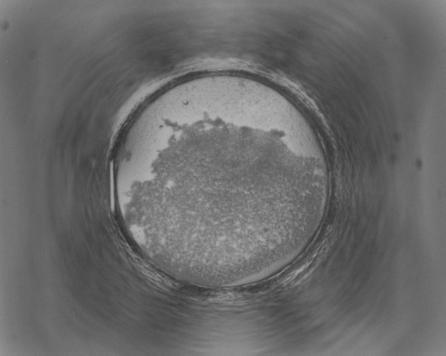 X0000067471175200605051639