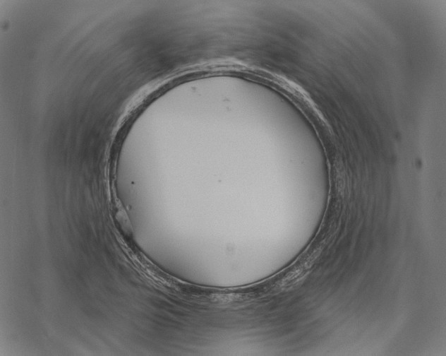 X0000067471176200605051639