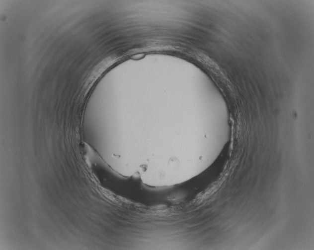 X0000067471177200605051639