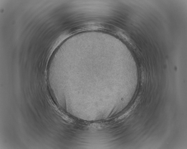 X0000067471178200605051639