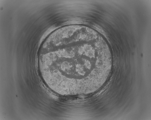 X0000067471179200605051639