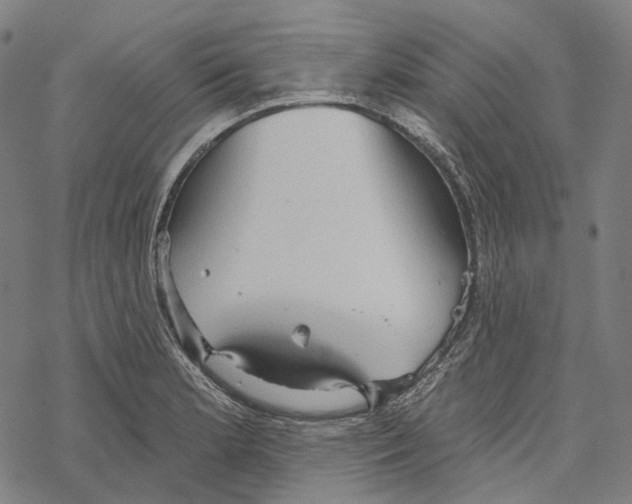 X0000067471181200605051639