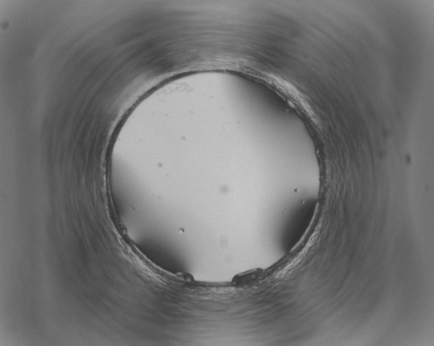 X0000067471184200605051639