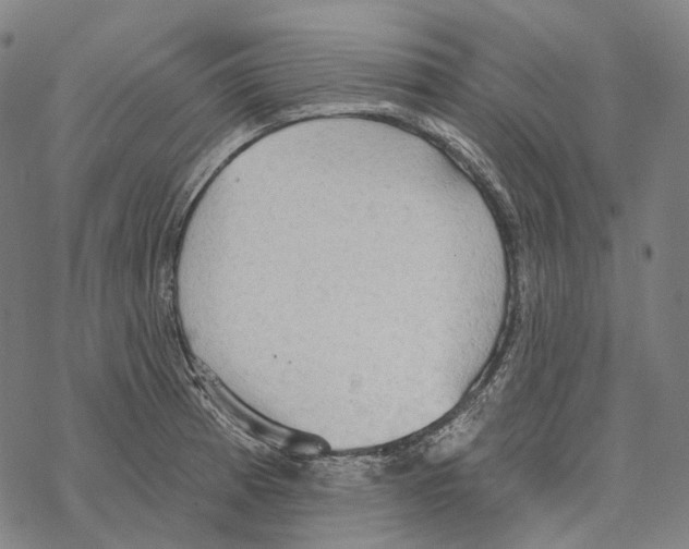 X0000067471185200605051639