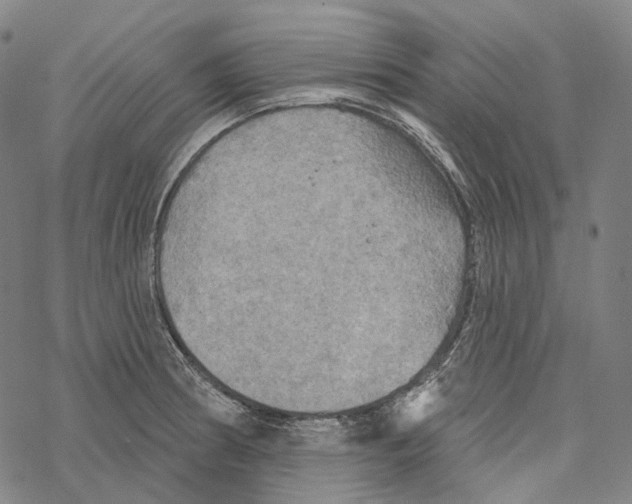 X0000067471186200605051639