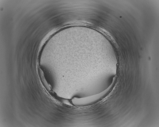 X0000067471188200605051639