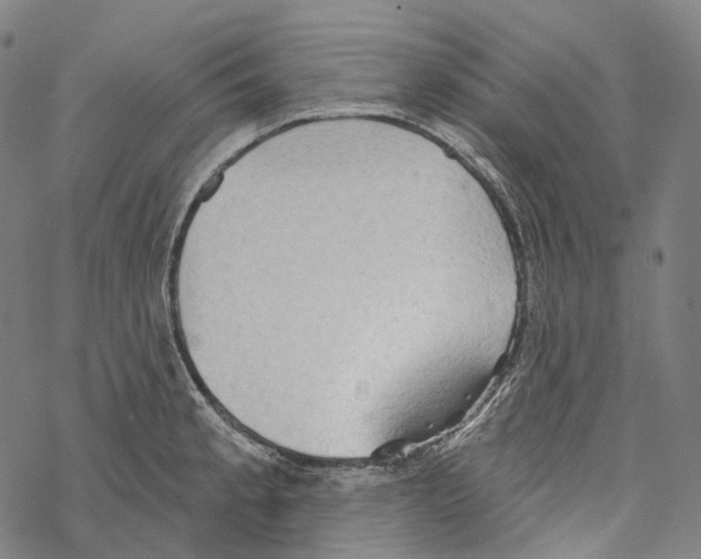 X0000067471189200605051639