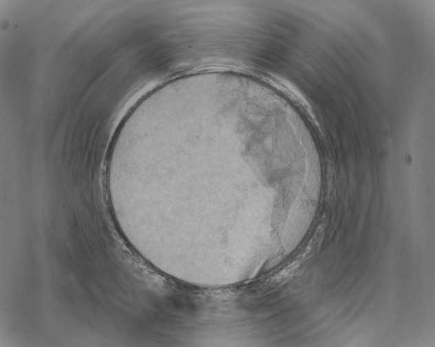 X0000067471190200605051639