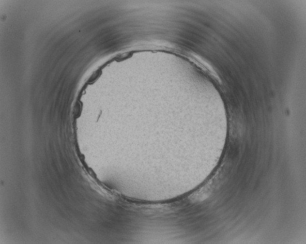 X0000067471192200605051639