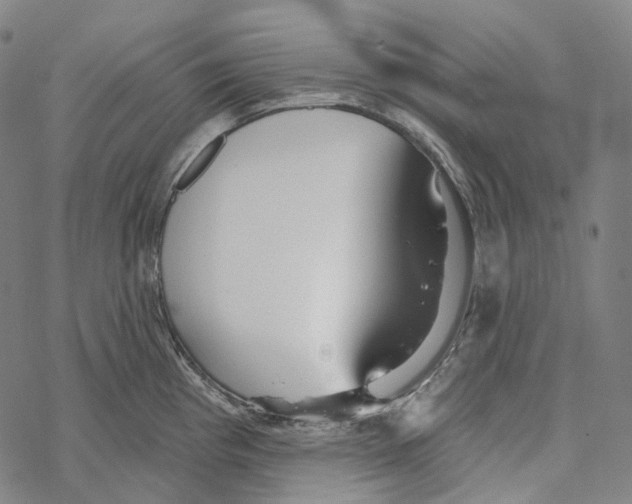 X0000067471193200605051639