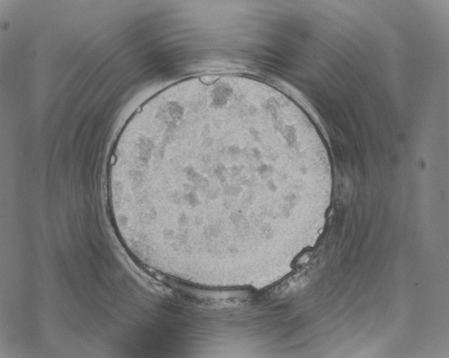 X0000067471195200605051639