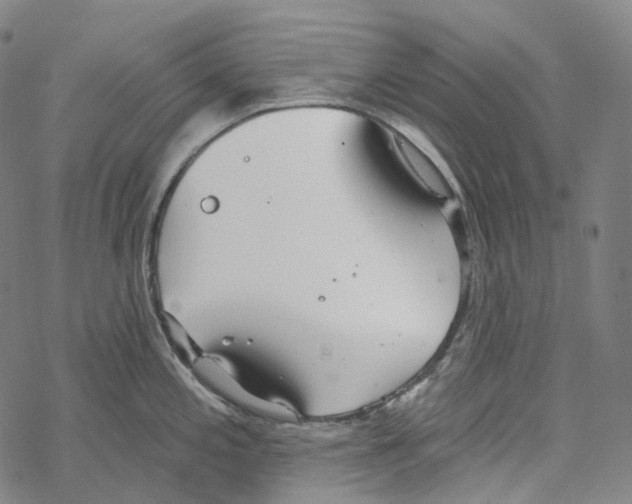 X0000067471197200605051639