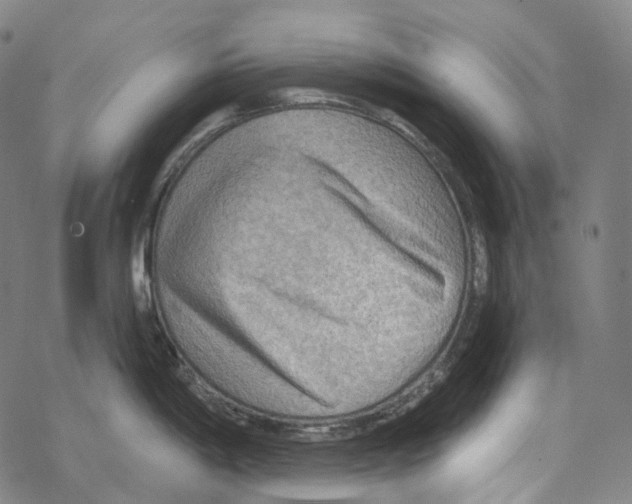 X0000067471198200605051639