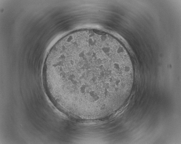 X0000067471199200605051639