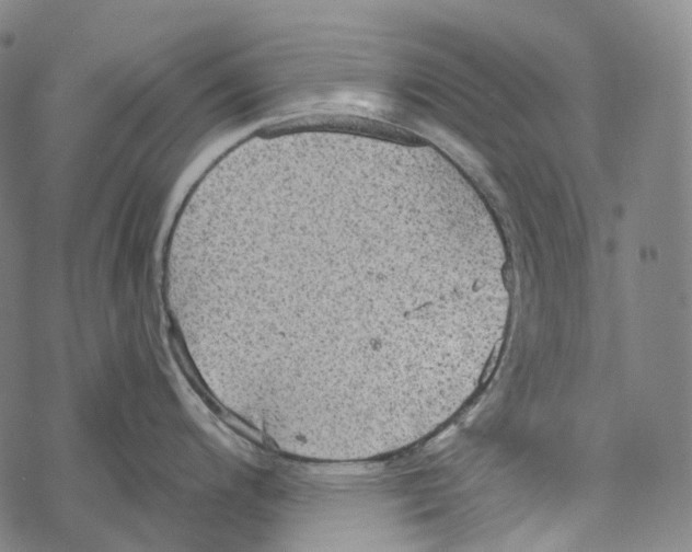 X0000067471200200605051639