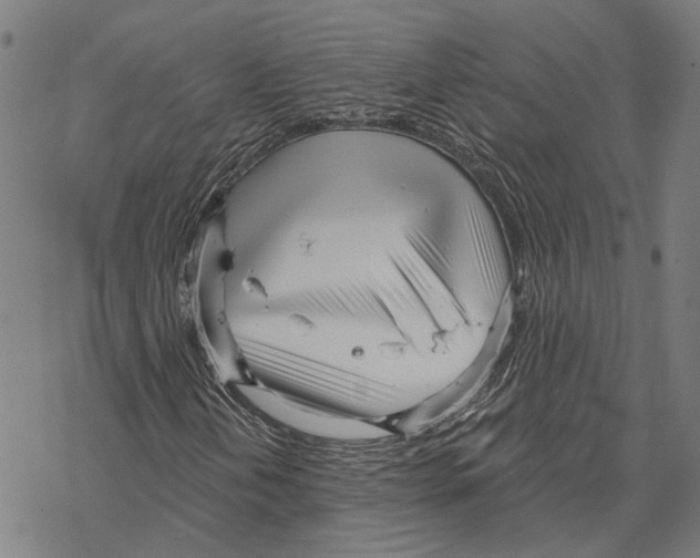 X0000067471202200605051638