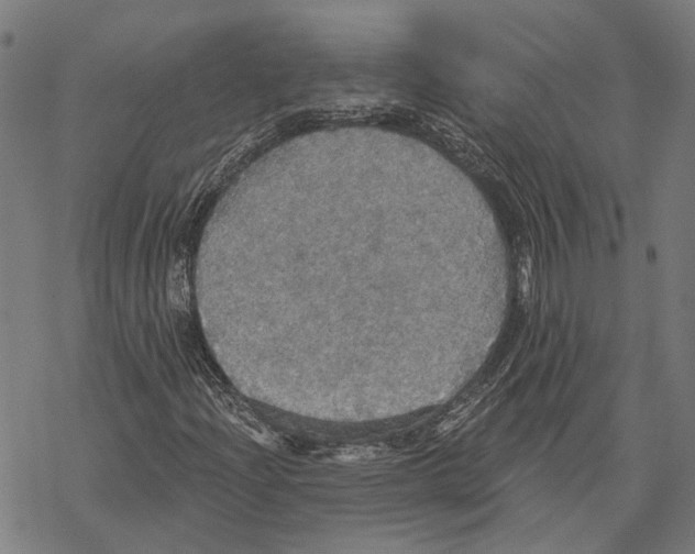 X0000067471204200605051638