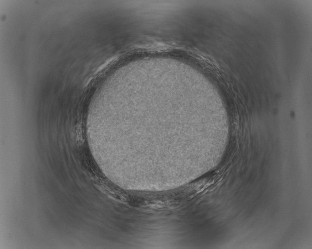 X0000067471205200605051638