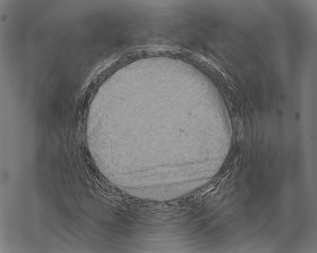 X0000067471207200605051638