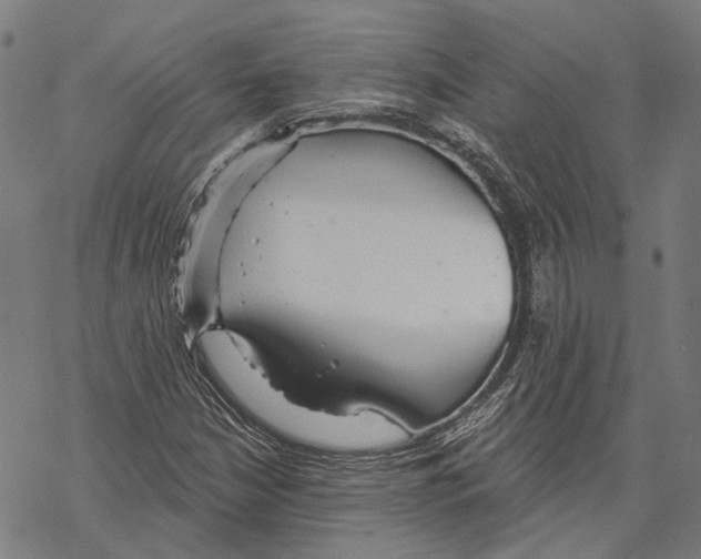 X0000067471210200605051638