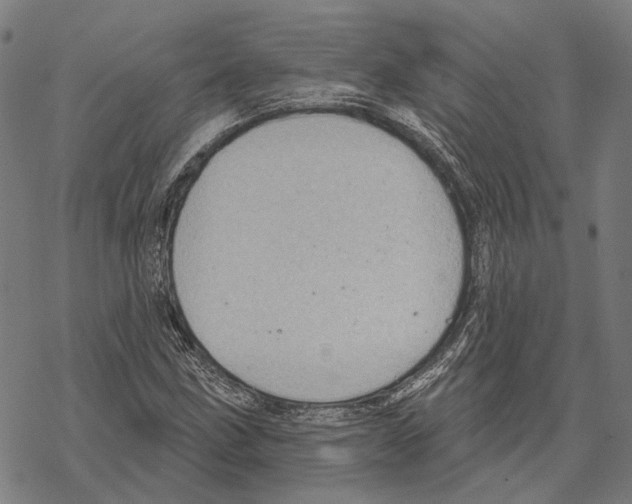 X0000067471211200605051638