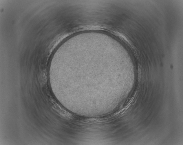 X0000067471212200605051638