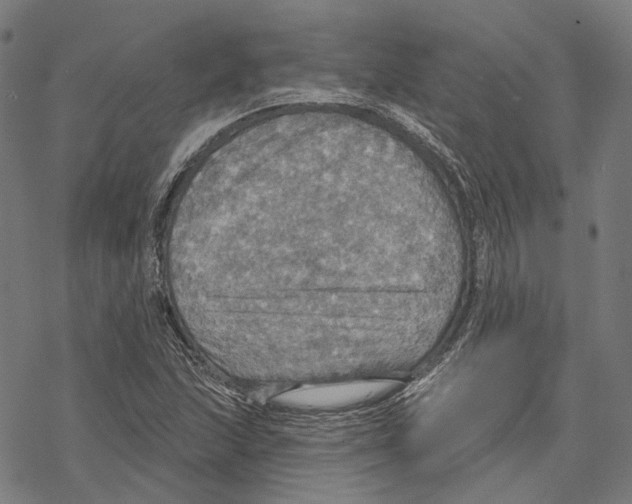 X0000067471215200605051638