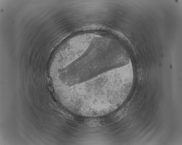 X0000067471217200605051638