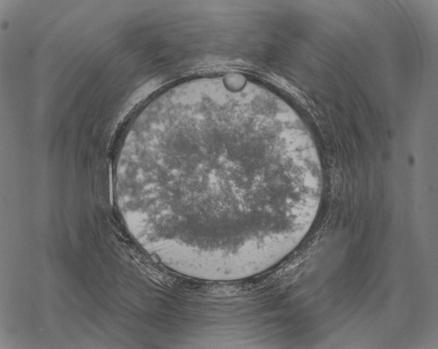 X0000067471219200605051639