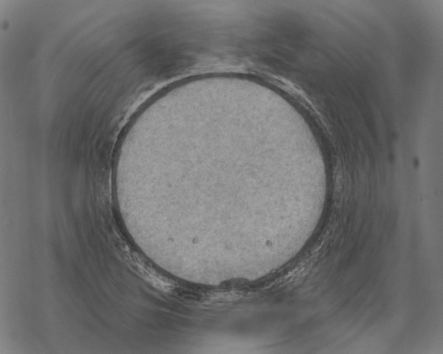 X0000067471220200605051639