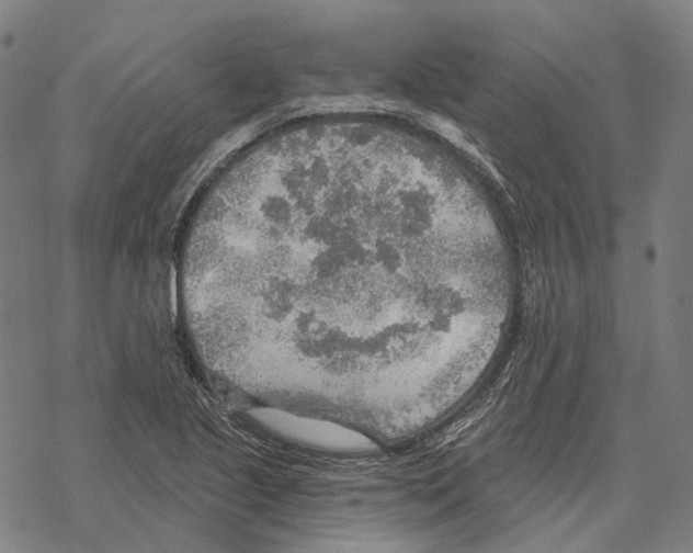 X0000067471221200605051639