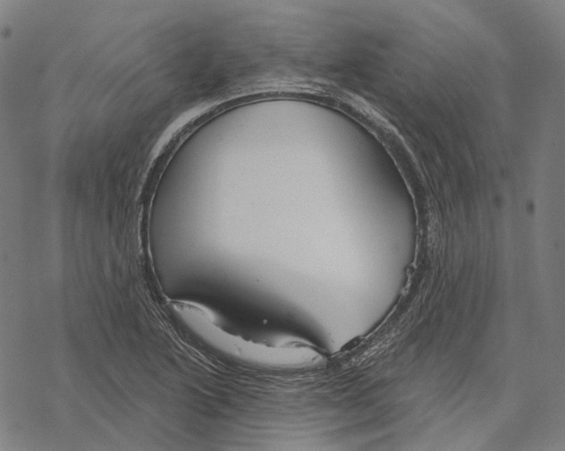 X0000067471222200605051639