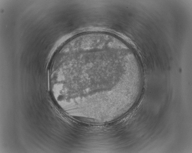 X0000067471223200605051639