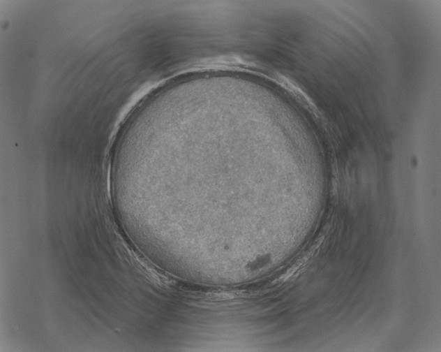 X0000067471224200605051639