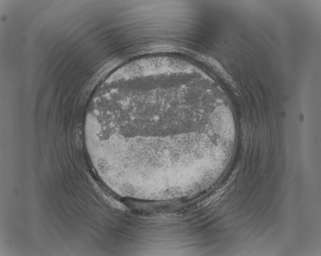 X0000067471225200605051639