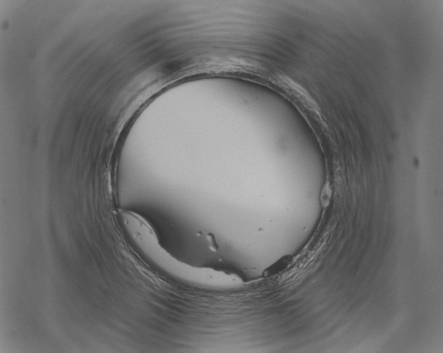 X0000067471226200605051639