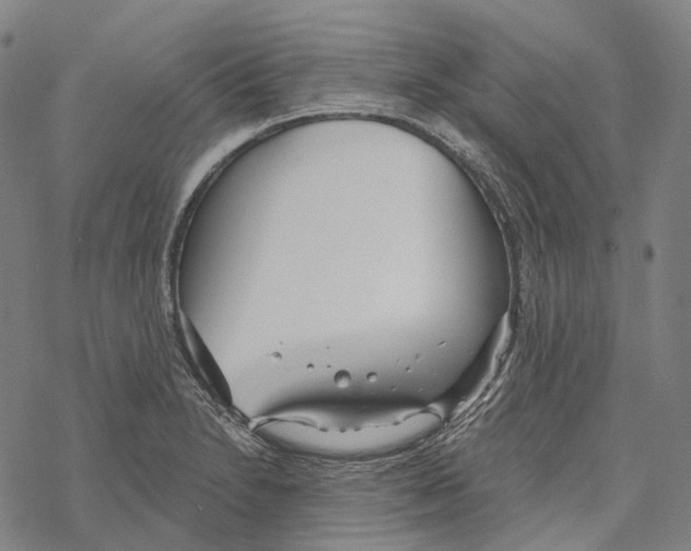 X0000067471230200605051639