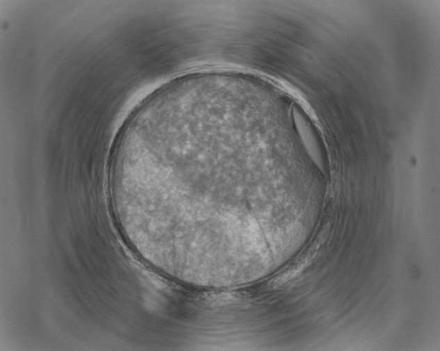 X0000067471231200605051639