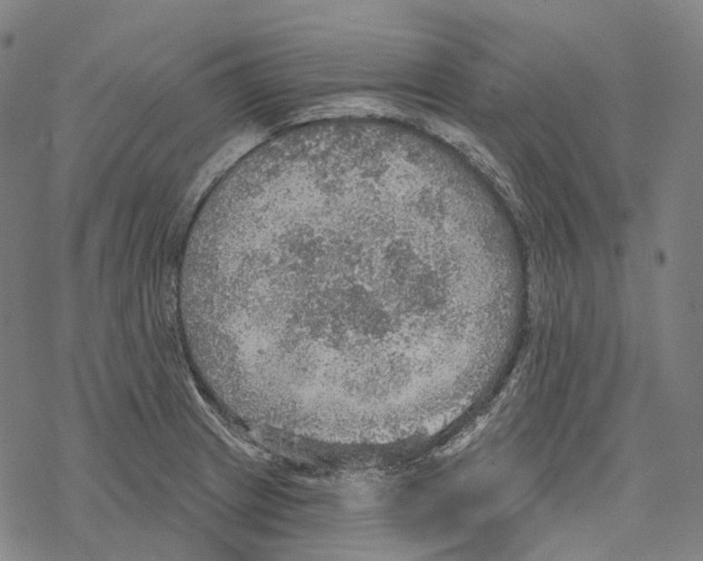 X0000067471233200605051639