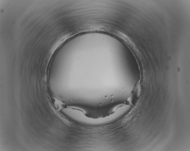 X0000067471234200605051639