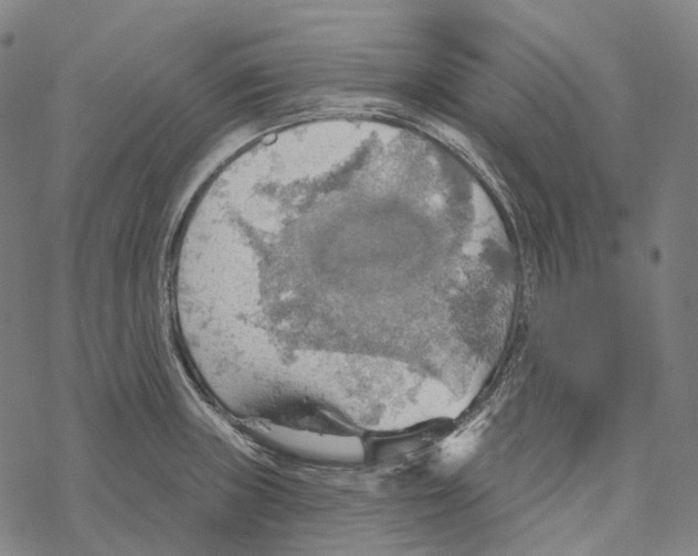 X0000067471235200605051639