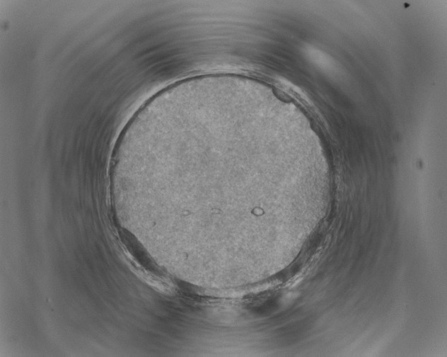 X0000067471236200605051639